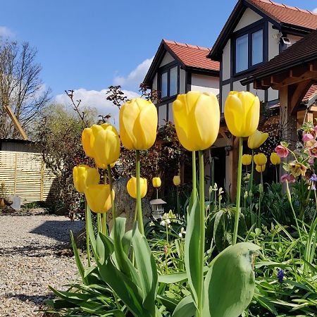 Delightful & Picturesque Modern Detached Apartment, Next To Chester Zoo, Near Park And Ride To City Centre Εξωτερικό φωτογραφία