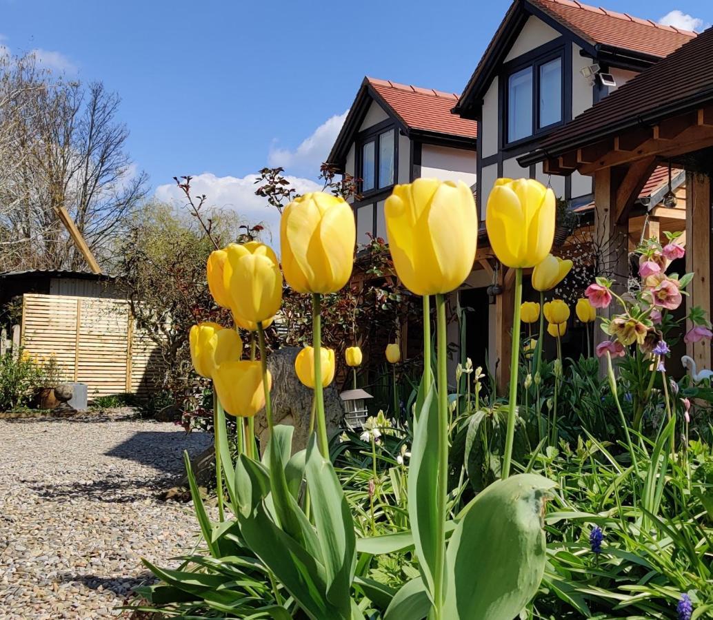 Delightful & Picturesque Modern Detached Apartment, Next To Chester Zoo, Near Park And Ride To City Centre Εξωτερικό φωτογραφία